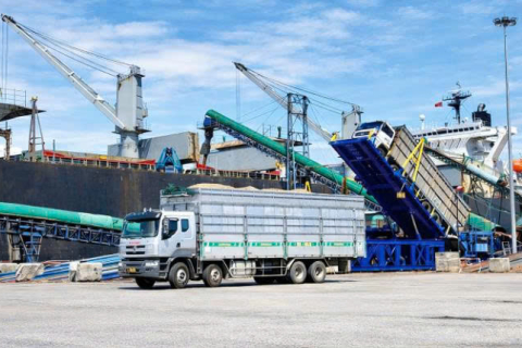 Chế Tạo Máy Trong Ngành Băm Dăm Gỗ Xuất Khẩu